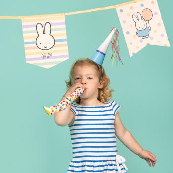 Miffy Wimpelgirlande (0,73€/Meter)